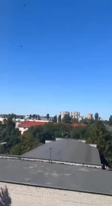 �������� �����: ���� �� ��������� �������. ������� ������ � ���������� ��� ����� �� ������ ���