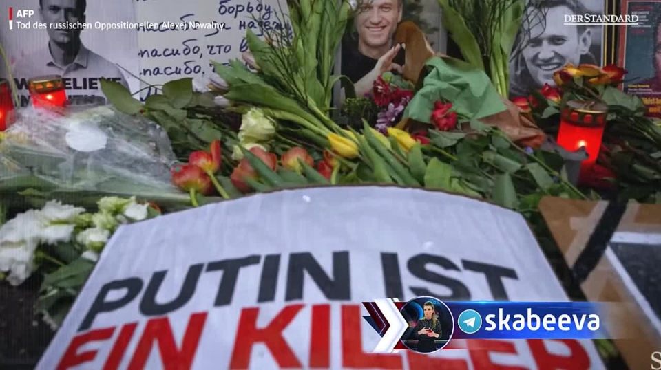 ‘Наш самый желаемый результат — поражение России, но украинцы несут большие потери’ — военный эксперт Венской Академии национальной обороны Густав Грессель