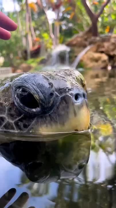 ����� ����������: ���������� ������ ������� � �� �� � � ������ �����������, ����� ������ � ������������� �������� ������ �������, ���� ����������� �������� � ������ � �������� ������ 08 ����: