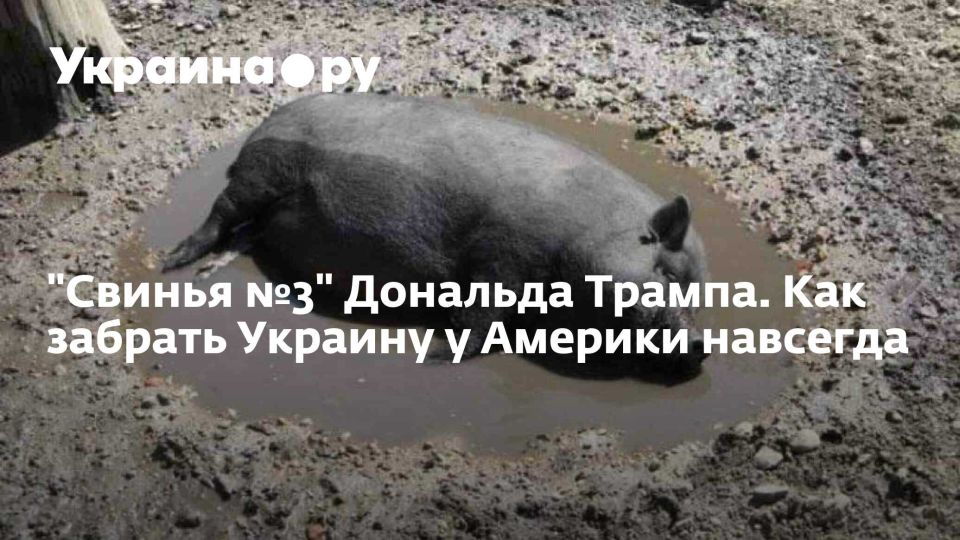 "������ �3" �������� ������. ��� ������� ������� � ������� ��������