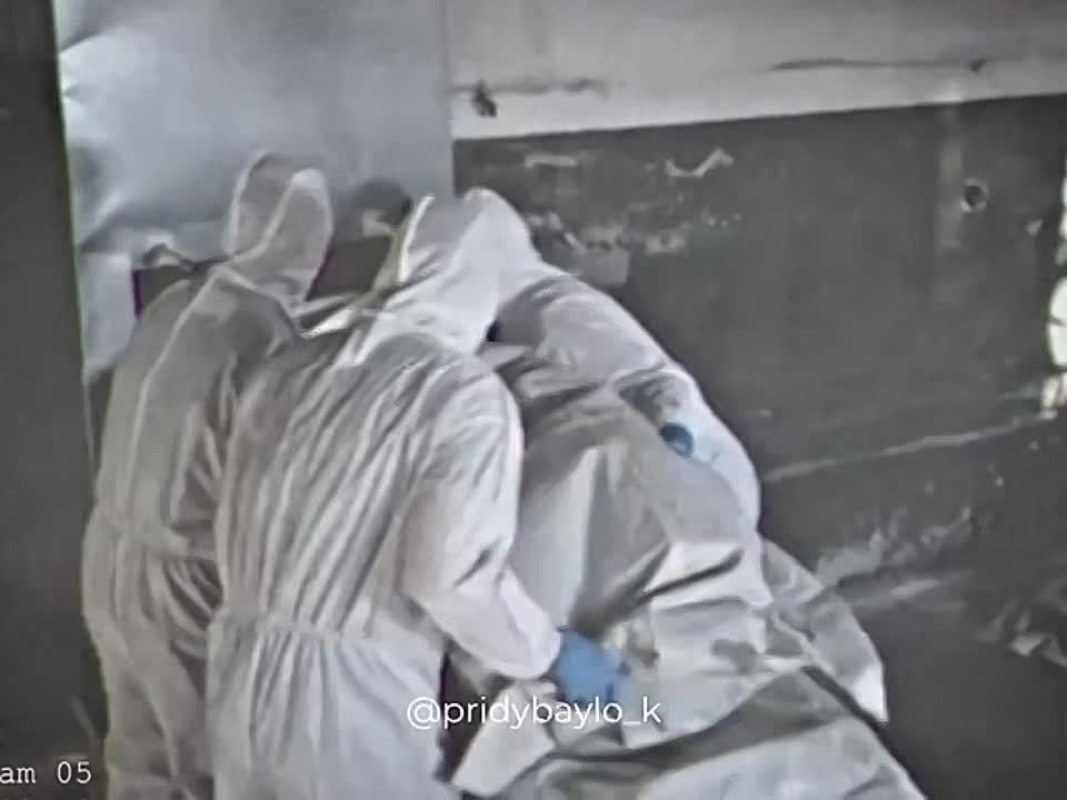 �����, ����������������, ����������� ���������� ������� ������� ���