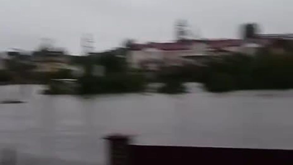 ����� ������ ��� ���� - �����