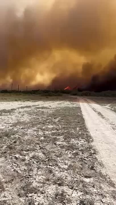 На границе Дагестана и Чечни бушует ландшафтный пожар