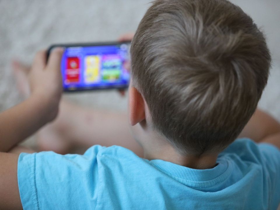 В России предложили заблокировать игровую платформу Roblox