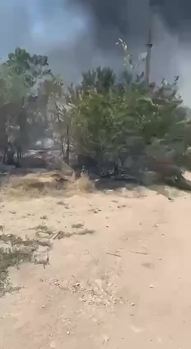 ������� �������: ���������� ����� ��������� ������������ �������������� ������ ������������ ������������� ����� ���� � �������� � ����������� ��������� �����������
