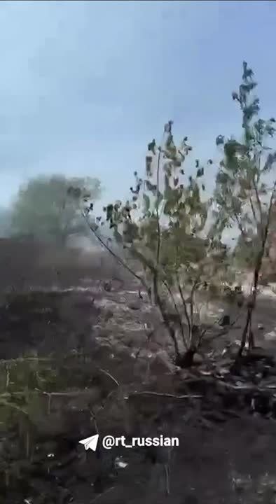 ��� ������� ���� �� ����� ����� � ��������� ����������� �������, ���� ������������
