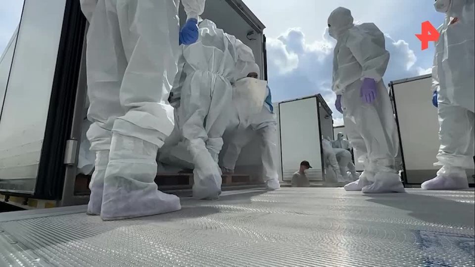 ������ �������� ������� ��� 1000 ��� ������ ���, ������� �������� ���������� �� �������� ���������