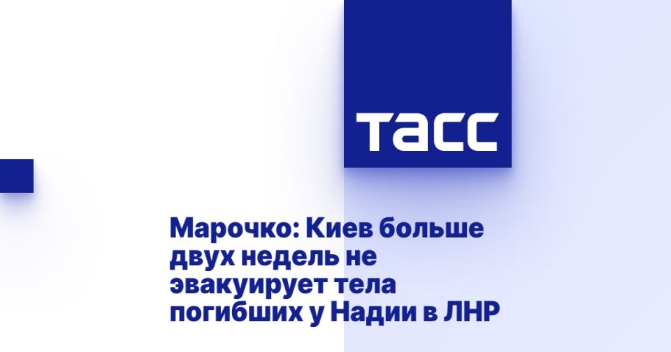 �������: ���� ������ ���� ������ �� ���������� ���� �������� � ����� � ���
