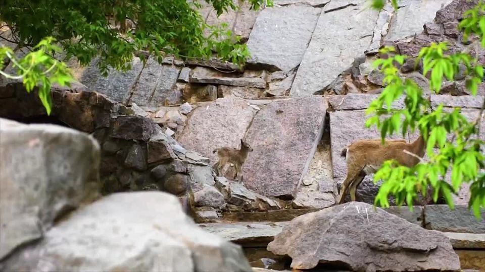 ����� ����������: ����� �������� ������ ����� ������ ���������� ������� ���������, �� ������� ��� �������� ��������� ���������, ������� ������ ������ �� �������� � �������� ������ 17 ����: