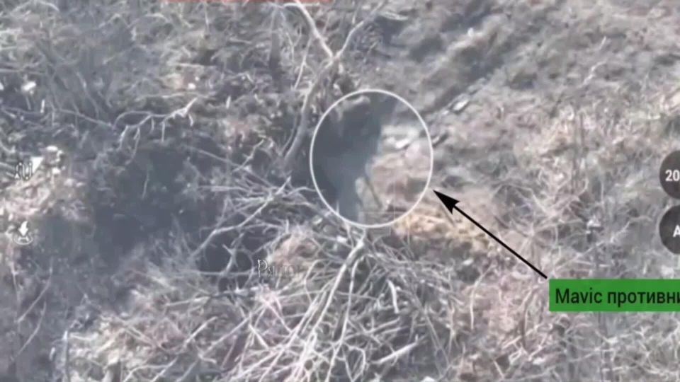 ���������� ������ ��������� ������� �� ���������������� �����������, �������� � ����������� �����������