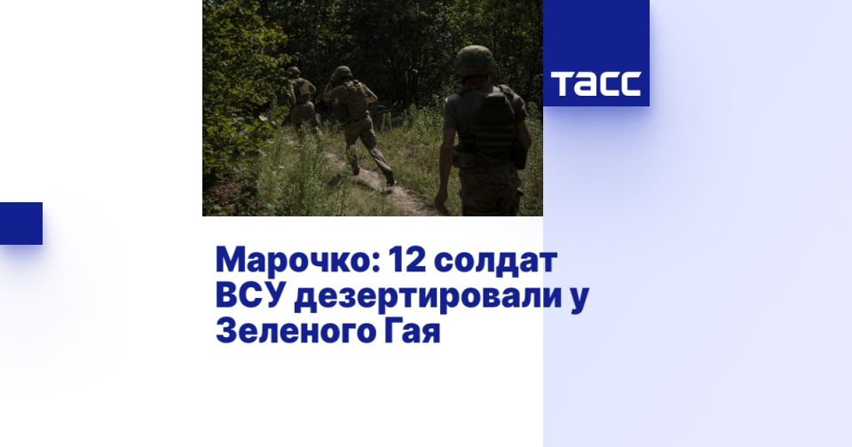 Марочко: 12 солдат ВСУ дезертировали у Зеленого Гая