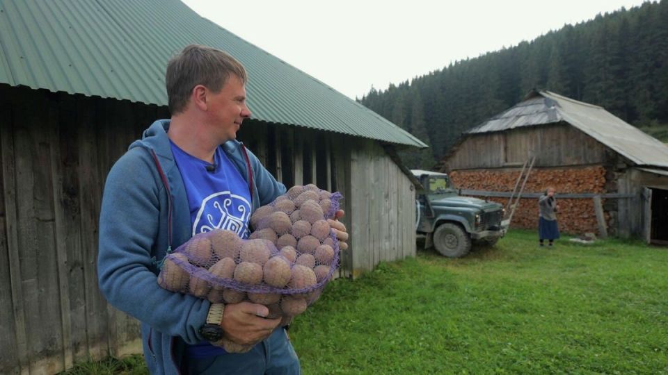 От миллионных гонораров до грузчика: как Дмитрий Комаров потерял все