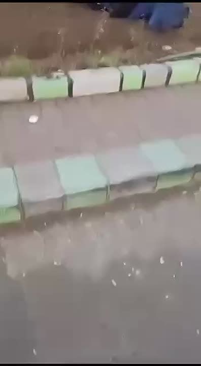 ������ ���������: ����������� ������� ������������ ������������ � ������ ����� �� ��������