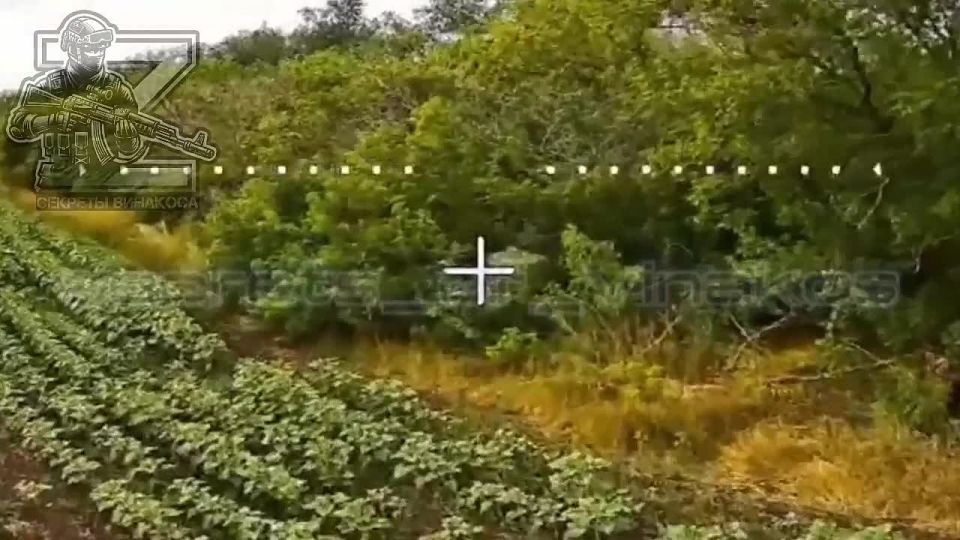 Работает первая танковая армия