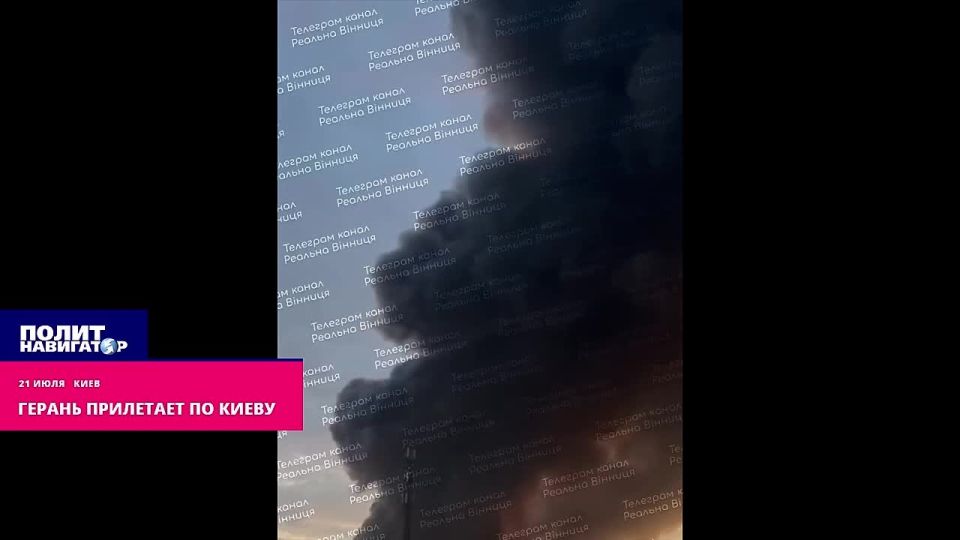 ���� ���������� ����� ������ ����� ����� ����������� �����