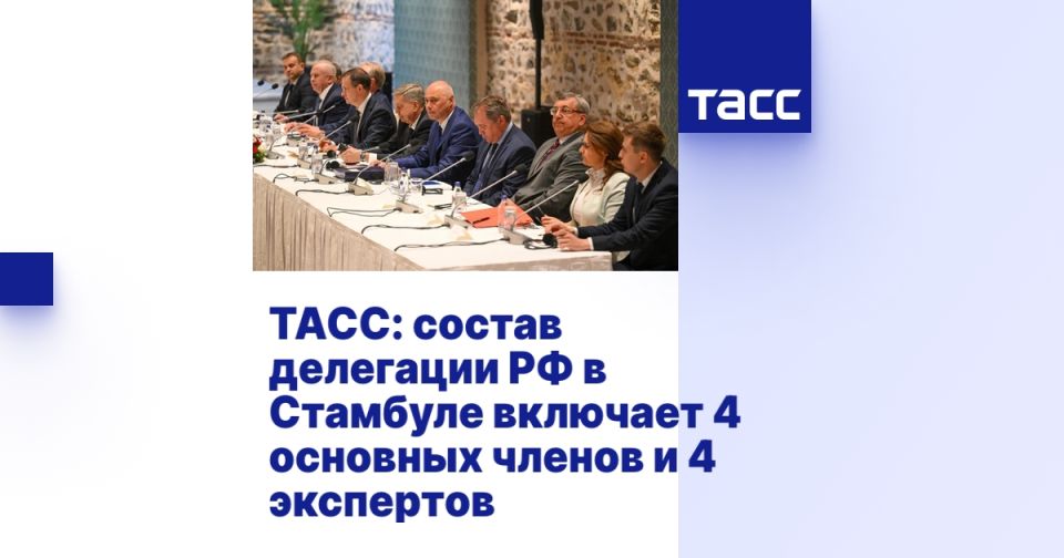 ТАСС: состав делегации РФ в Стамбуле включает 4 основных членов и 4 экспертов