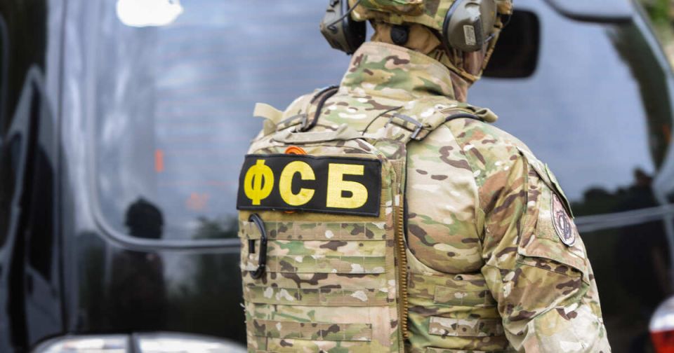 Агента СБУ задержали у тайника с деталями дронов в Нижегородской области