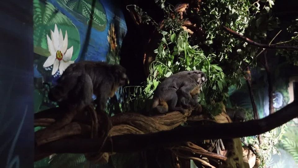 Ирина Куксенкова: Какие изменения произошли в руководстве ТАСС, на каких условиях США будут добывать нефть в Венесуэле, Зеленский "сдал назад" законом о НАБУ, — вечерняя сводка 24 июля: