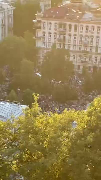 Удивительные животные эти хохлы