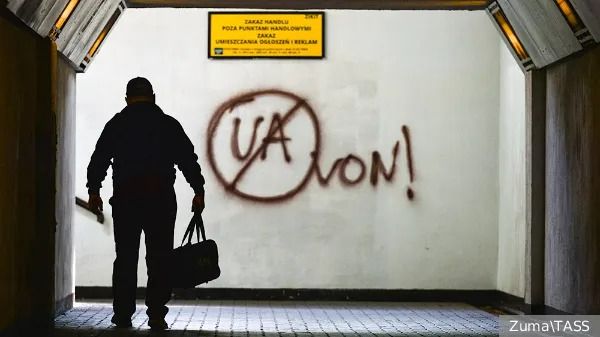 Украинцы успешно осваивают криминальные ниши в Прибалтике