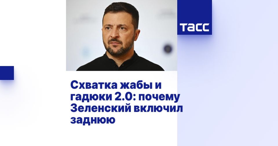Схватка жабы и гадюки 2.0: почему Зеленский включил заднюю