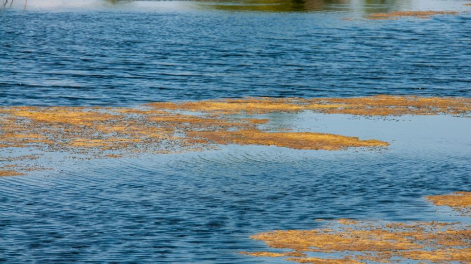 Назло России затопим Прибалтику. Киев подсказал США "хитрый трюк", чтобы не пустить русских в Европу