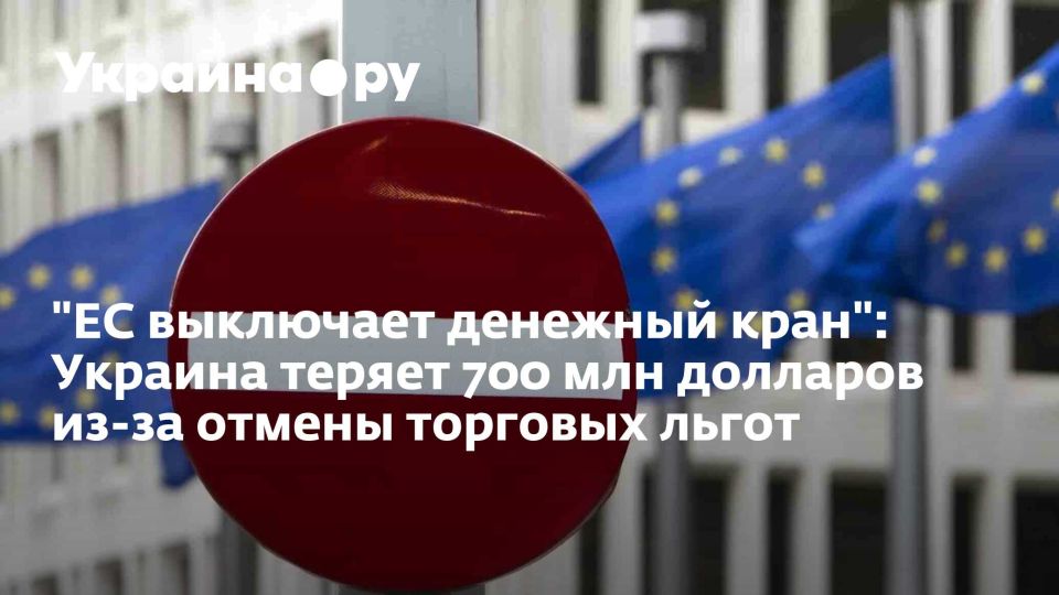 "ЕС выключает денежный кран": Украина теряет 700 млн долларов из-за отмены торговых льгот