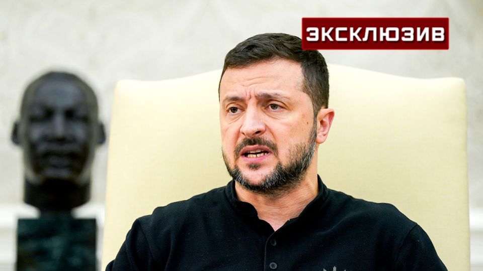 Политолог назвал Зеленского «мелким пуделем» на фоне закона против НАБУ