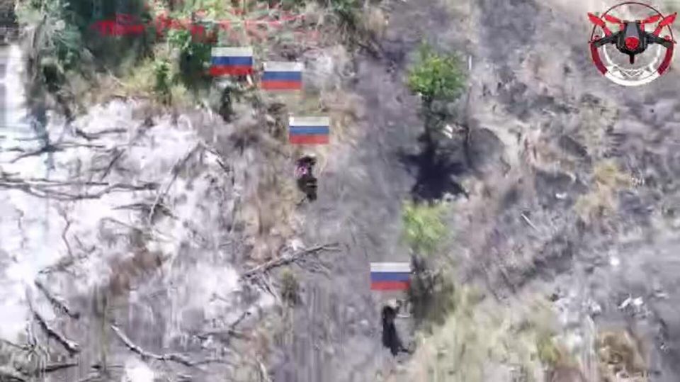 ���������� ����� ��������� ���� ������ �� ������ ������� "�����" � ������������ �����������