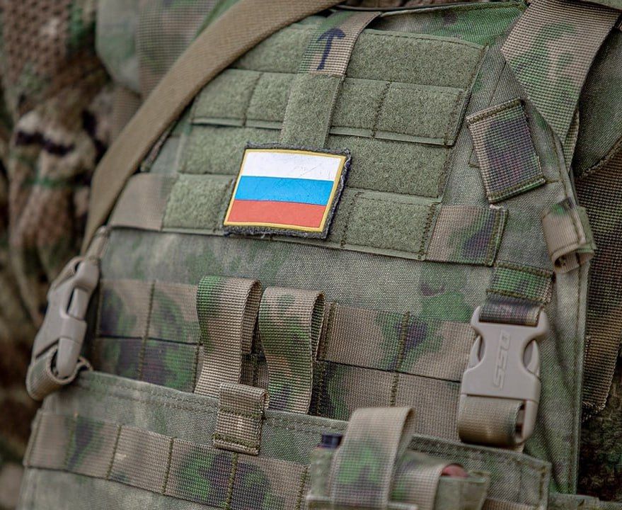 Российская армия освободила Зеленый Гай в ДНР и Малиевку в Днепропетровской области, сообщили в Минобороны