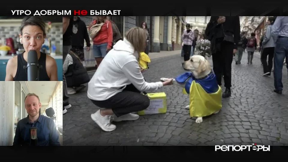 Их собачье дело. Теперь НАБУ возьмется за депутатов Верховной Рады