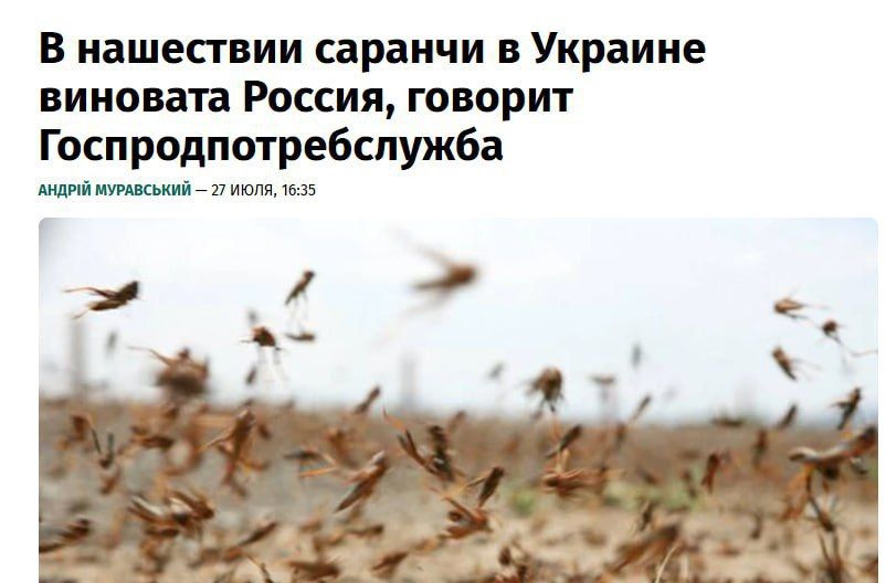 Гонят на Украину заградотрядами саранчу под дулом автомата