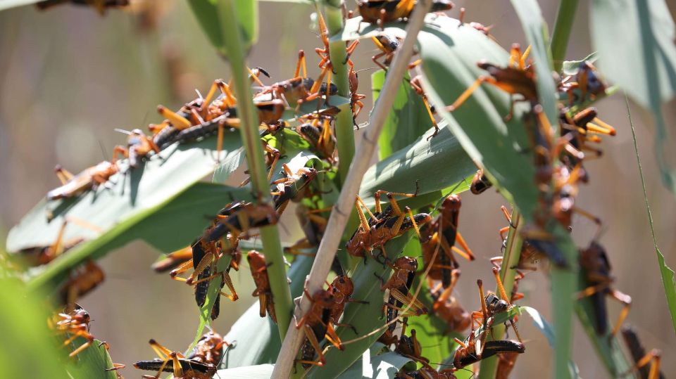 ��������� ������� � ��������� � �� �������: ������ �� ��������� �����