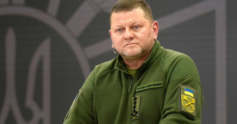 �������� ���� ����������� Vogue � ������ � ��������� ����������