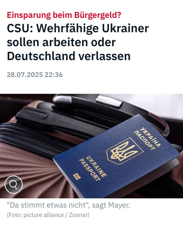 Александр Сосновский: Беженцы из Украины, которые по возрасту и состоянию здоровья могут быть на фронте, должны работать или будут высланы