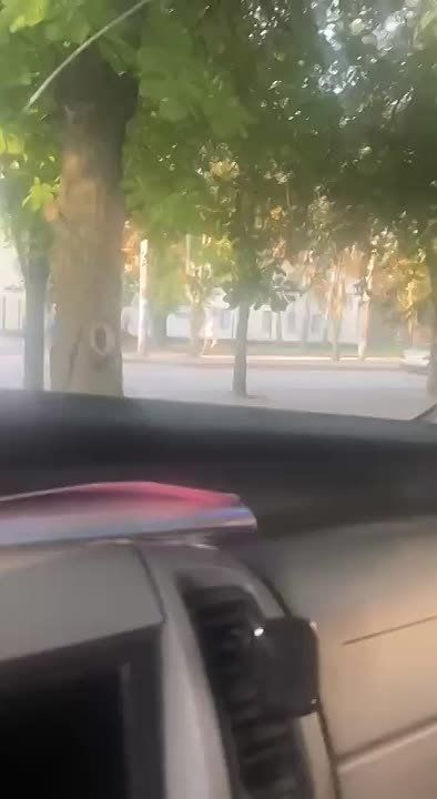 ������� �������: ������ ���, ������ ����� �������� ������