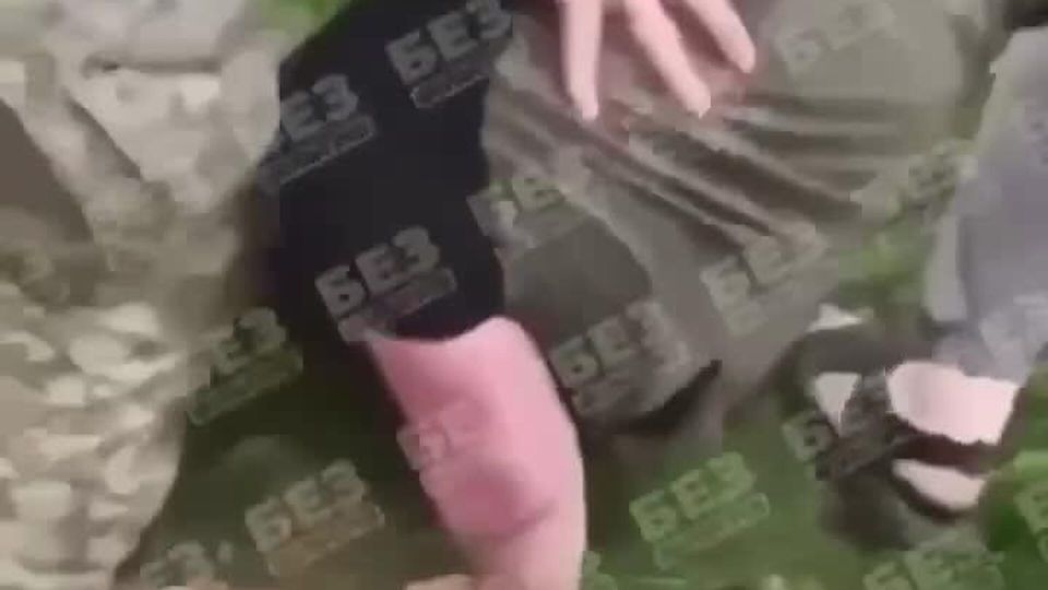 Во Львовской области сотрудники ТЦК избили женщину, пытавшуюся защитить мужа