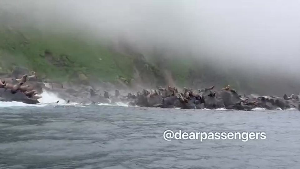 Жертв после землетрясения и цунами на Камчатке нет благодаря технологической подготовке, организованной на высшем уровне — системы оповещения сработали своевременно, заявил Дмитрий Песков