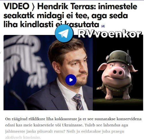 Эстонские дикие свиньи, убитые из-за африканской чумы, станут кормом для ВСУшников