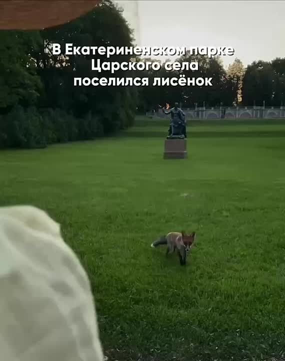 ����� ����������: ������� ��� �������� ������� �� ������� � ���������� �������� � ������, ��� �������� ������������ �����������, ����� ���� 50% ������� � ��������� �������� � �������� ������ 31 ����: