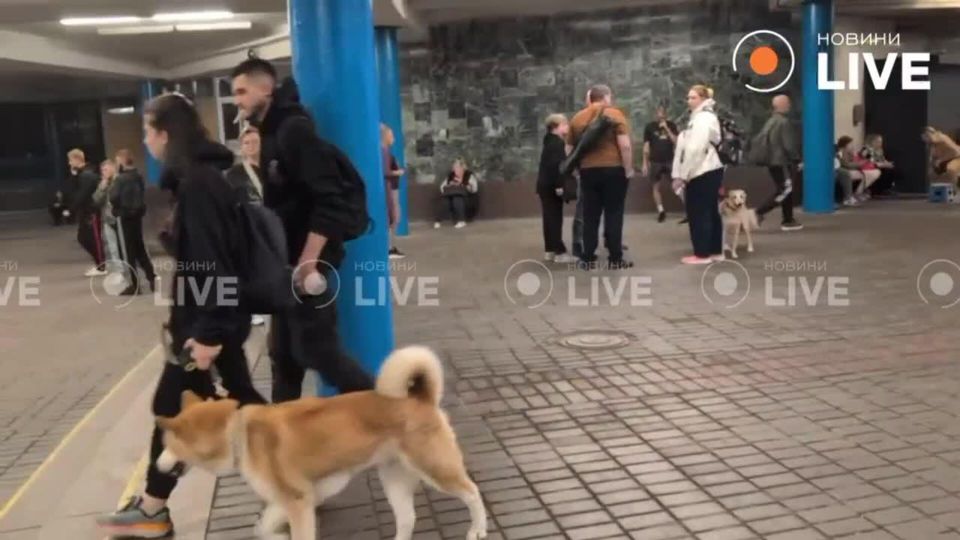 &quot;Герани&quot; бьют по аэропорту Жуляны, целям в Броварах и Бучанском районе. Киевляне прячутся в метро