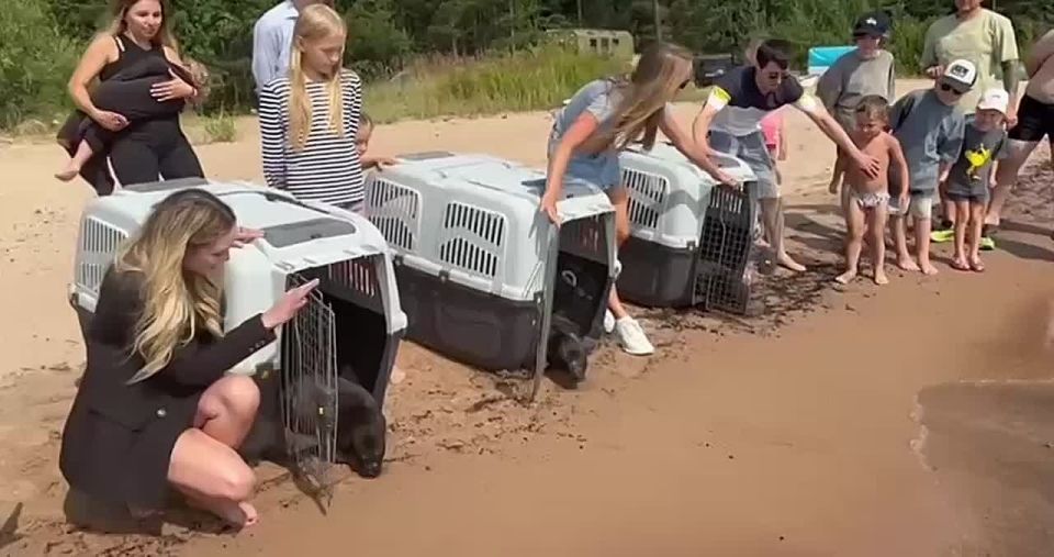 ����� ����������: �������� �� � ������ �������� ������ ��� ������� �����, �� ����� ��� �������� ������������ ��������� "�������� ������", ������� �� ����������� ��������� ������ � ��������� � �������� ������ 01 �������: