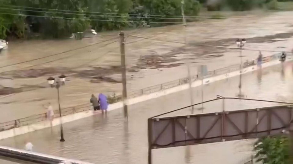 ���� ������ �� ������ � ����������� ���� ������ ���: ������� �� ����