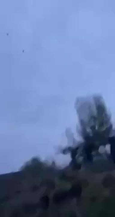 ������ ������: ���� �������� ���-�� ��� ��������