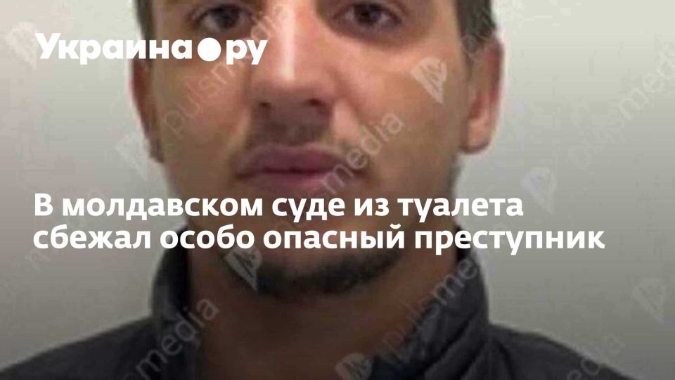 � ���������� ���� �� ������� ������ ����� ������� ����������