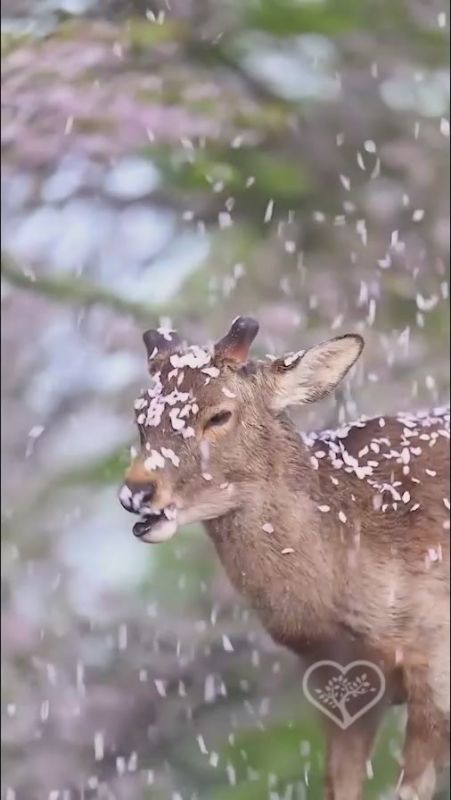 Ирина Куксенкова: Кто объявлен страной-гостем ПМЭФ-2026, когда произойдет извержение вулкана Ключевской, генсек ООН Гутерриш не упомянул США в обращении в связи с годовщиной ядерной бомбардировки Хиросимы — утренняя сводка...