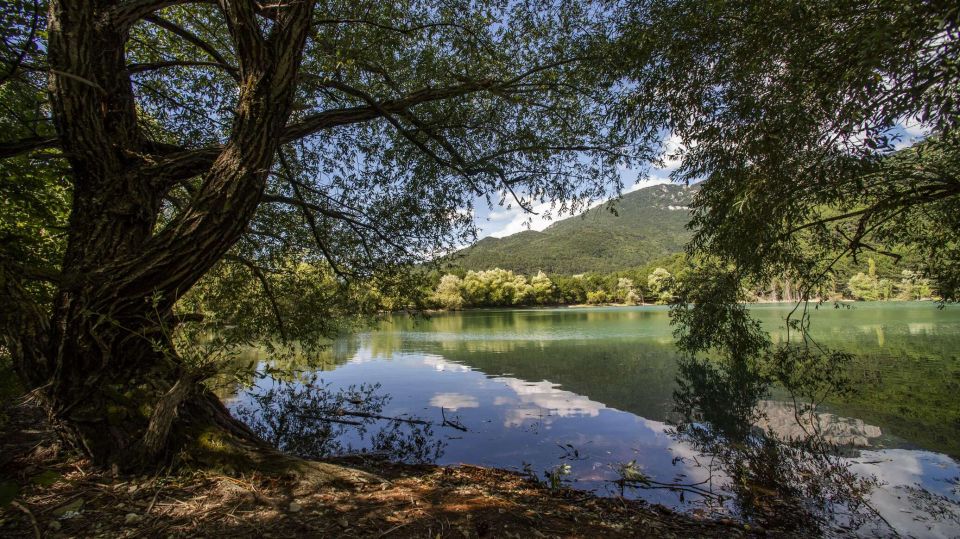 ���������� ������ � �������� � ������ ���� � �����: ������� �� ����