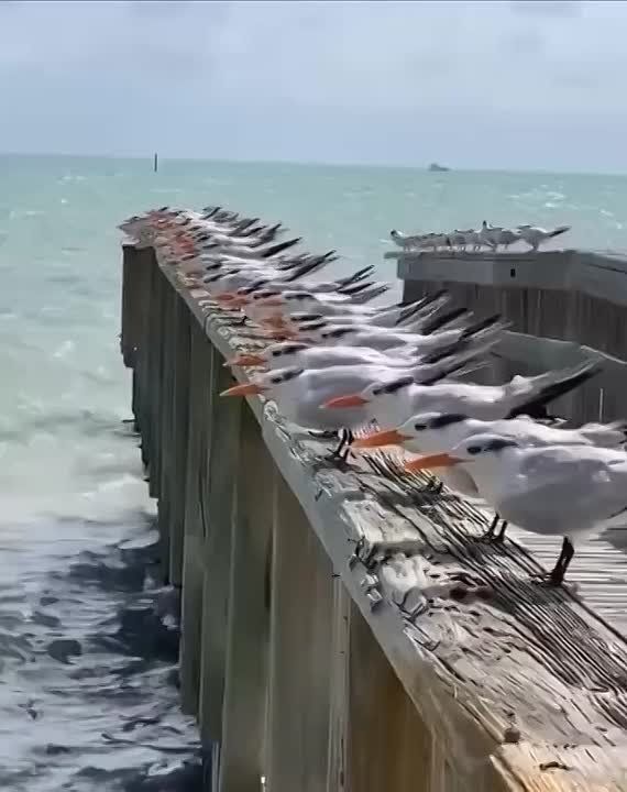 Ирина Куксенкова: Где и когда состоится встреча нашего президента с Трампом, как мессенджер МАХ договорился с ФСБ, европейские чиновники растерялась из-за предстоящей встречи Путина с Трампом — вечерняя сводка 07 августа: