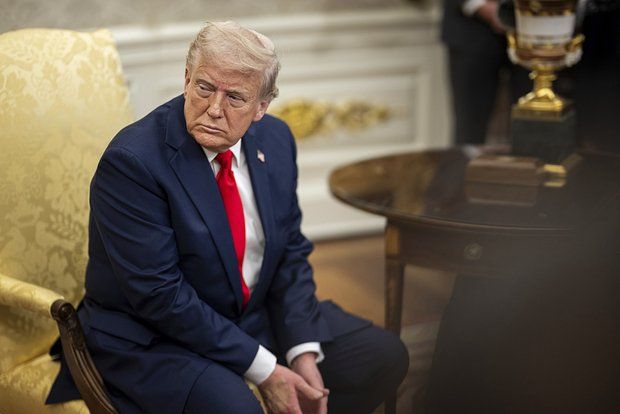 ������� ����: ����� ����� � ������� � ������� ���� ����, ��� ������ � ����������