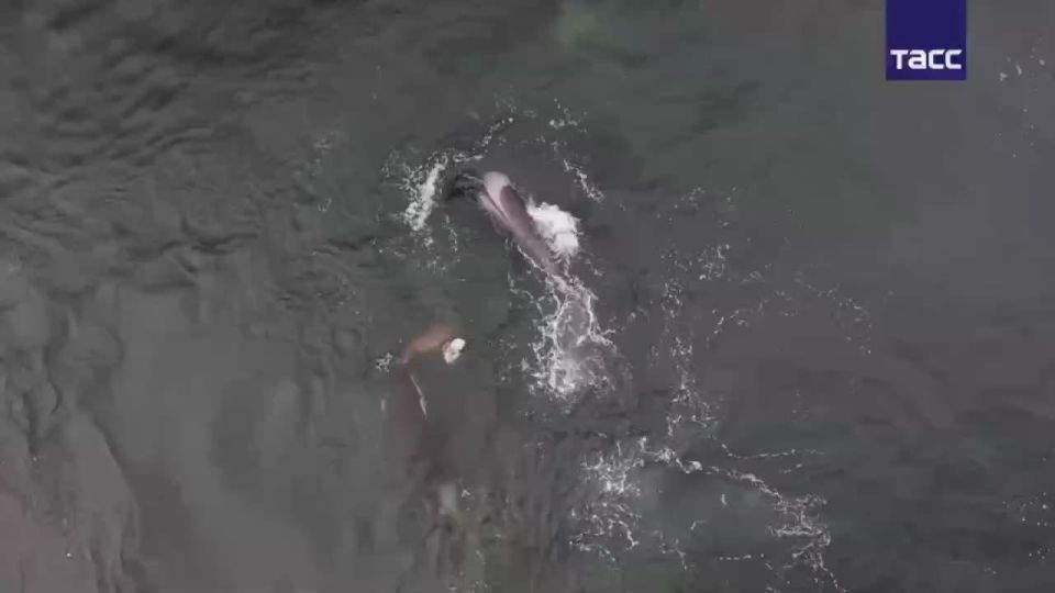 ����� ����������: ����� ����� ���������� ������� ������ ���������� � �������, ������� ������ ������������� �� ����� �� ����, ����� ���������������� ����� ������� ���������� � ��� � �������� ������ 08 �������: